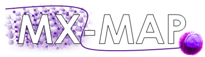 MX MAP logo